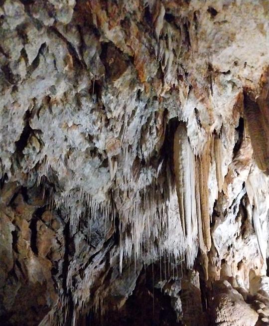 Sala del Presepe – stalattiti fini
